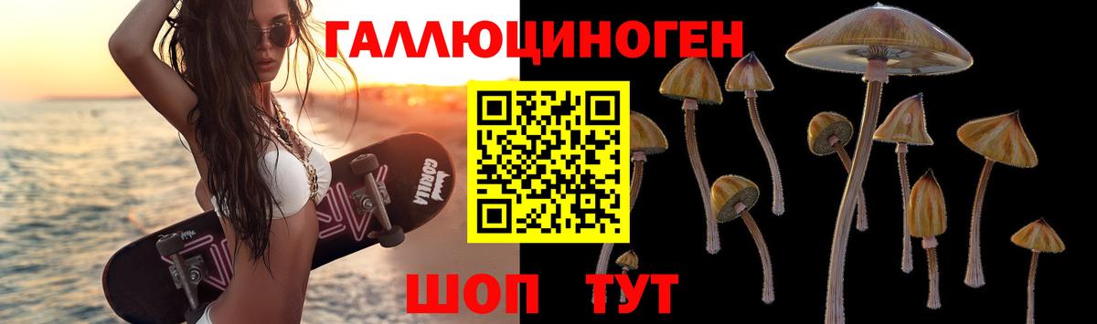 Галлюциногенные грибы Psilocybe Дзержинск
